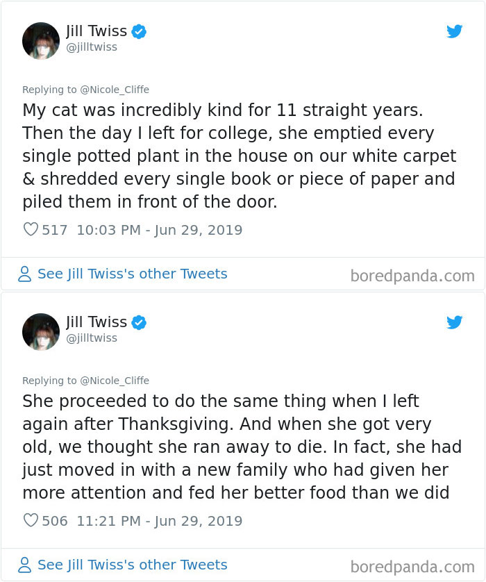 Mean-Cats-Owners-Stories