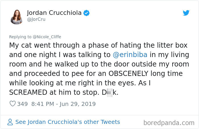 Mean-Cats-Owners-Stories