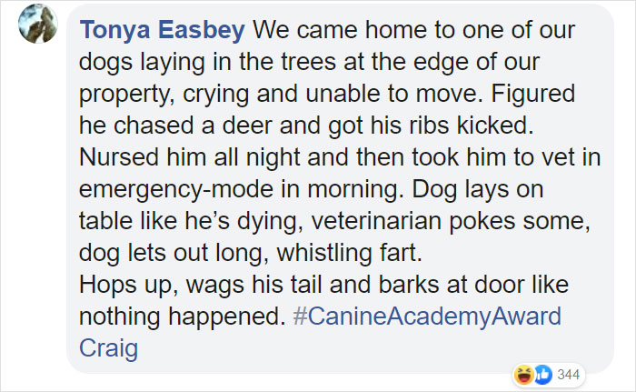 Dog Goes Missing One Evening, Turns Out He Got Stuck In His Own Poop And Wouldn’t Move Or Speak
