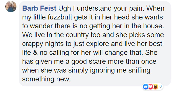 Dog Goes Missing One Evening, Turns Out He Got Stuck In His Own Poop And Wouldn’t Move Or Speak Dog Goes Missing One Evening, Turns Out He Got Stuck In His Own Poop And Wouldn’t Move Or Speak