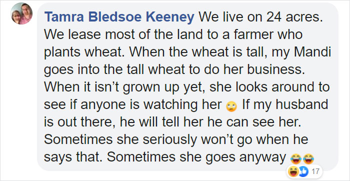 Dog Goes Missing One Evening, Turns Out He Got Stuck In His Own Poop And Wouldn’t Move Or Speak Dog Goes Missing One Evening, Turns Out He Got Stuck In His Own Poop And Wouldn’t Move Or Speak