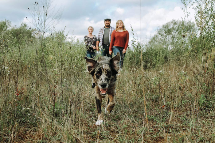 Dog Goes Missing One Evening, Turns Out He Got Stuck In His Own Poop And Wouldn’t Move Or Speak Dog Goes Missing One Evening, Turns Out He Got Stuck In His Own Poop And Wouldn’t Move Or Speak