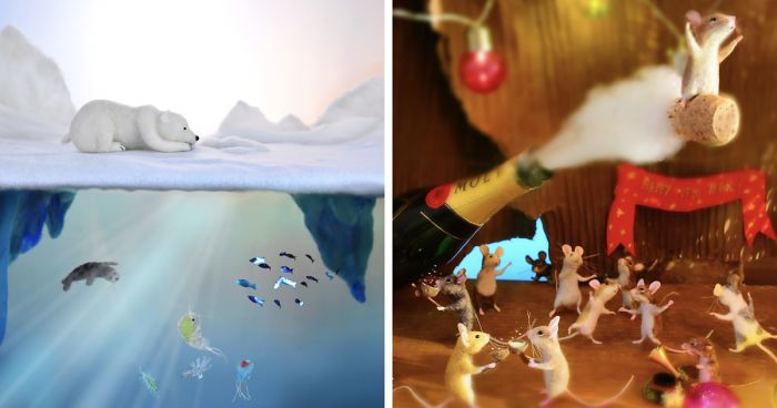 My Teenage Daughter Built Me A Theatre Box So I Could Create Dreamy 3D Scenes With My Needle-Felted Animals (40 Pics)