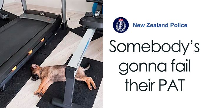 The New Zealand Police Is Winning Over The Internet With Their Adorable And Funny Posts (30 Pics)