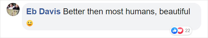 Photographer Captures An Orangutan Reaching Out To Help A Forest Warden In Borneo