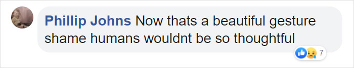 Photographer Captures An Orangutan Reaching Out To Help A Forest Warden In Borneo