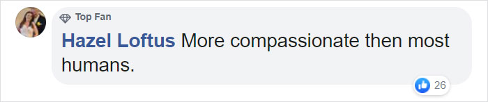 Photographer Captures An Orangutan Reaching Out To Help A Forest Warden In Borneo