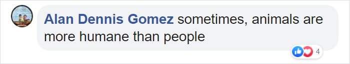 Photographer Captures An Orangutan Reaching Out To Help A Forest Warden In Borneo Photographer Captures An Orangutan Reaching Out To Help A Forest Warden In Borneo