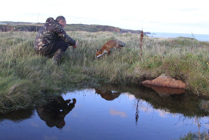 Incredible Photos Show Men Reuniting With The Fox That They Raised When She Was Still A Cub (20 Pics) Incredible Photos Show Men Reuniting With The Fox That They Raised When She Was Still A Cub (20 Pics)