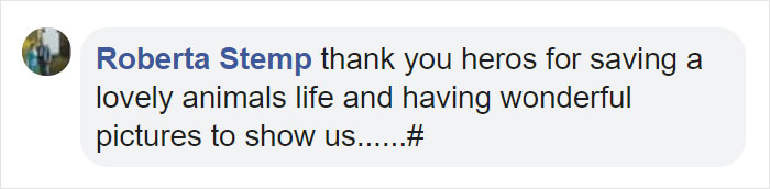 Incredible Photos Show Men Reuniting With The Fox That They Raised When She Was Still A Cub (20 Pics)