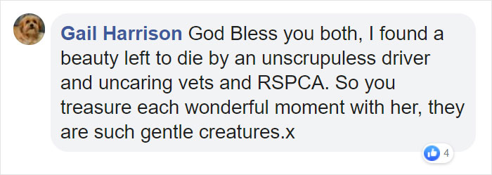 Incredible Photos Show Men Reuniting With The Fox That They Raised When She Was Still A Cub (20 Pics)