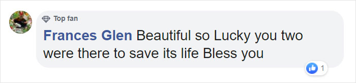 Incredible Photos Show Men Reuniting With The Fox That They Raised When She Was Still A Cub (20 Pics) Incredible Photos Show Men Reuniting With The Fox That They Raised When She Was Still A Cub (20 Pics)