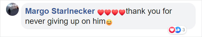 Paralyzed Kitten Couldn't Contain His Zooms After Getting A Wheelchair, Grew Up Into A Handsome Cat Paralyzed Kitten Couldn't Contain His Zooms After Getting A Wheelchair, Grew Up Into A Handsome Cat