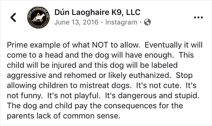 People Tired Of Others Allowing Children To Mistreat Pets Explain How Dumb And Dangerous That Is