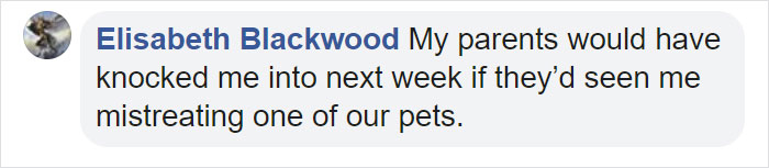 People Tired Of Others Allowing Children To Mistreat Pets Explain How Dumb And Dangerous That Is