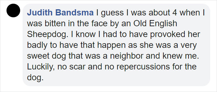 People Tired Of Others Allowing Children To Mistreat Pets Explain How Dumb And Dangerous That Is