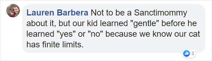 People Tired Of Others Allowing Children To Mistreat Pets Explain How Dumb And Dangerous That Is
