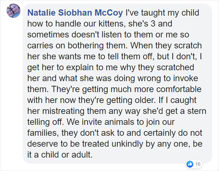 People Tired Of Others Allowing Children To Mistreat Pets Explain How Dumb And Dangerous That Is