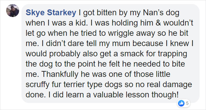 People Tired Of Others Allowing Children To Mistreat Pets Explain How Dumb And Dangerous That Is