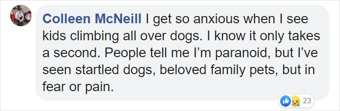 People Tired Of Others Allowing Children To Mistreat Pets Explain How Dumb And Dangerous That Is