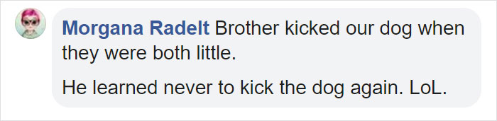 People Tired Of Others Allowing Children To Mistreat Pets Explain How Dumb And Dangerous That Is