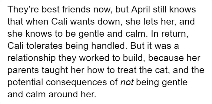 People Tired Of Others Allowing Children To Mistreat Pets Explain How Dumb And Dangerous That Is