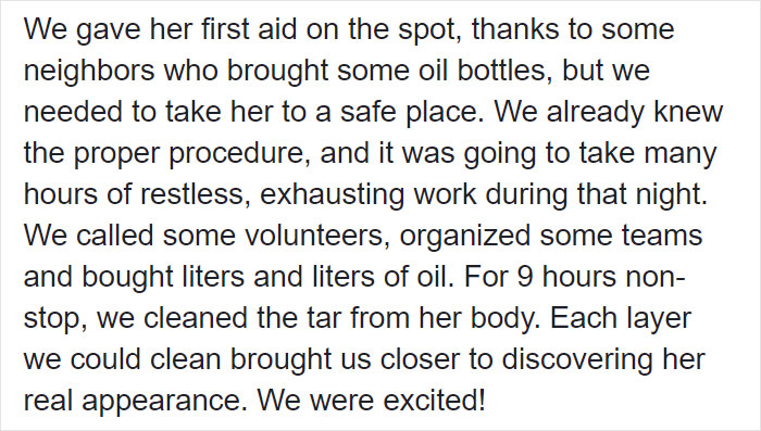 People Discover A Dog 100% Covered In Tar, Work Tirelessly To Save Her, Succeed