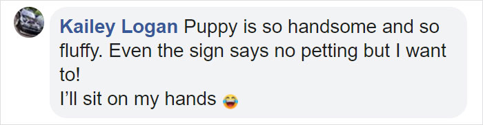 Woman Shares How She Saw A Policeman Taking Selfies With His Service Dog, He Responds With Pics Woman Shares How She Saw A Policeman Taking Selfies With His Service Dog, He Responds With Pics