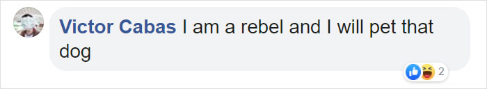 Woman Shares How She Saw A Policeman Taking Selfies With His Service Dog, He Responds With Pics Woman Shares How She Saw A Policeman Taking Selfies With His Service Dog, He Responds With Pics