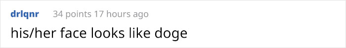Comment about a pet's face resembling Doge. Comment about a pet's face resembling Doge.