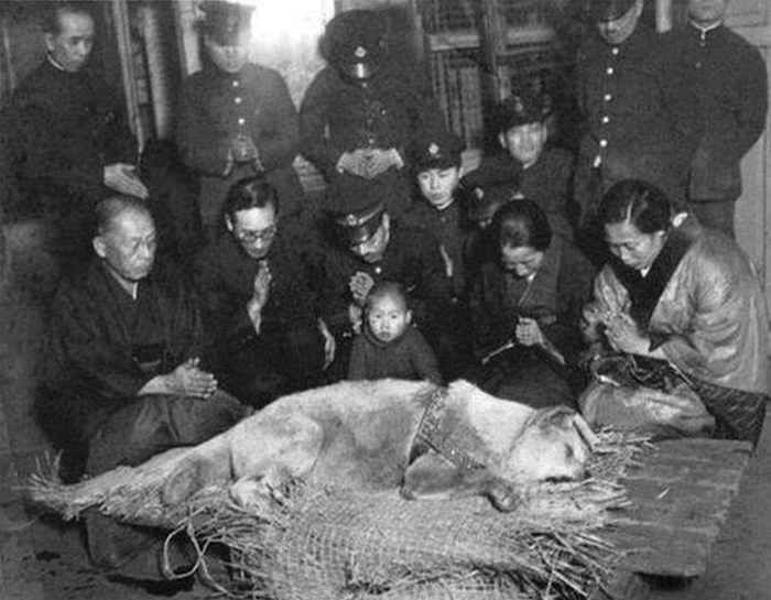 Rare Photos Of Hachiko Patiently Waiting For His Owner Have Surfaced And It's Heartbreaking To See