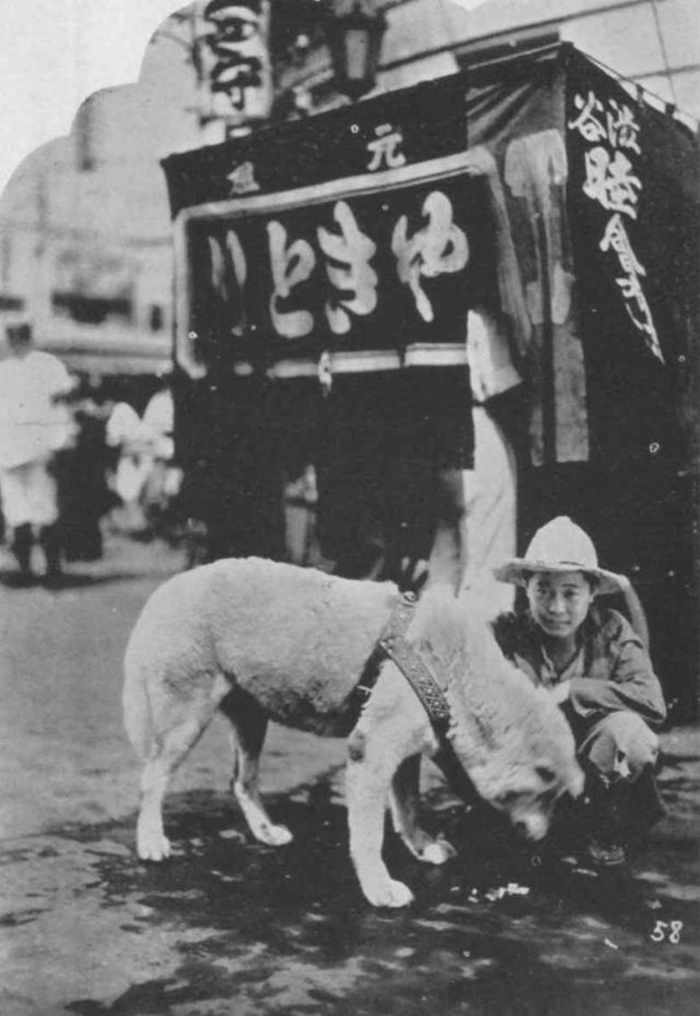 Rare Photos Of Hachiko Patiently Waiting For His Owner Have Surfaced And It's Heartbreaking To See