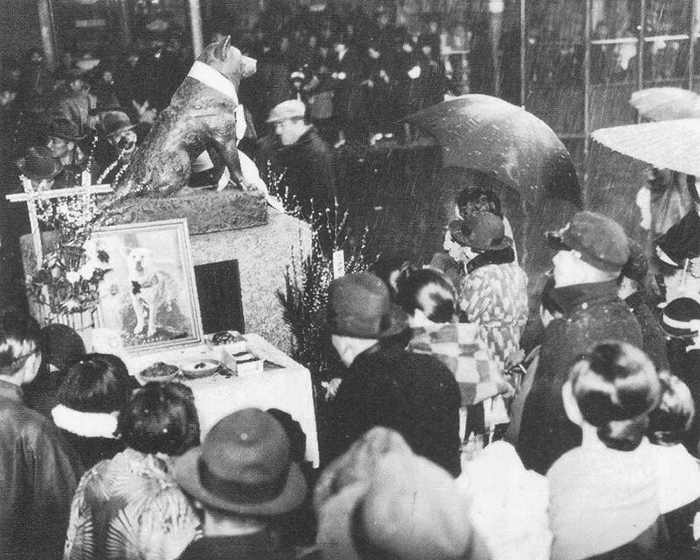 Rare Photos Of Hachiko Patiently Waiting For His Owner Have Surfaced And It's Heartbreaking To See