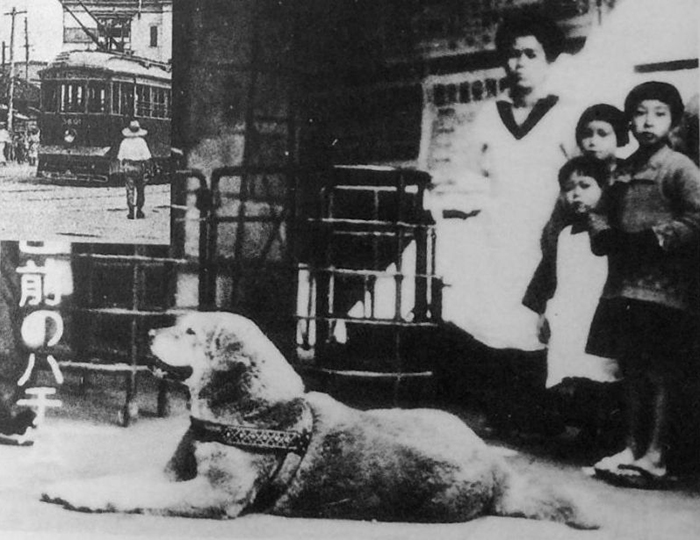 Rare Photos Of Hachiko Patiently Waiting For His Owner Have Surfaced And It's Heartbreaking To See