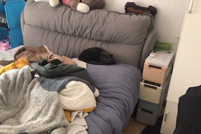 Animal Rescuers Are Breaking Down Doors Of Private Apartments To Rescue Animals Left Behind Due To Coronavirus Outbreak Animal Rescuers Are Breaking Down Doors Of Private Apartments To Rescue Animals Left Behind Due To Coronavirus Outbreak