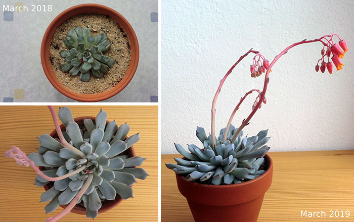 Hardware Store Rescue, 1 Year Progress