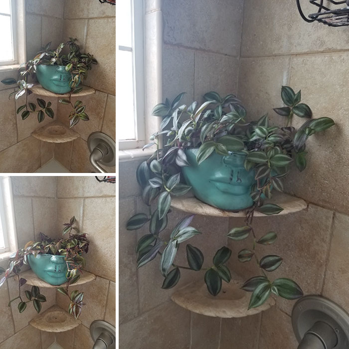 From Despondent To Fabulous After 18 Days In The Shower