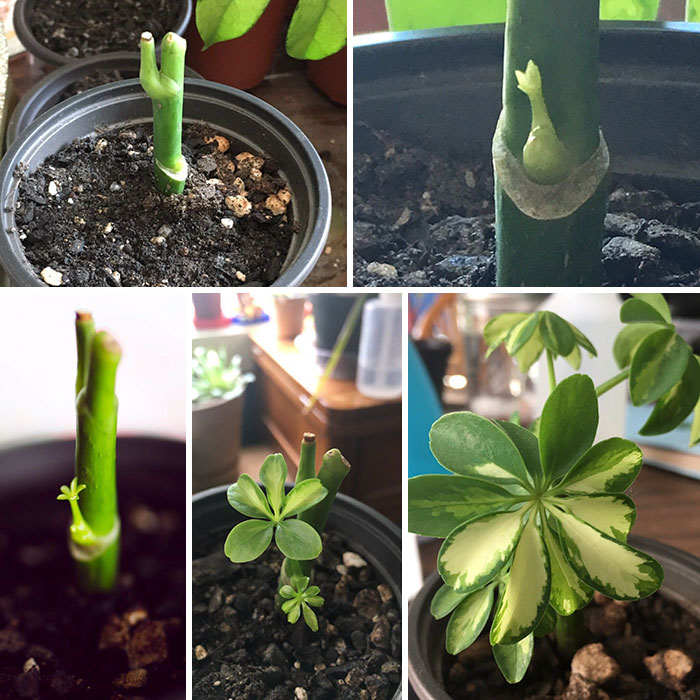 May To September. The Underdog Became The Cutest