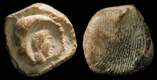 Digital Identification