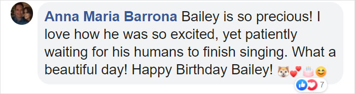 Family Throws A Surprise Birthday Party For Its 13 Y.O. Senior Dog And He Can't Believe They Remembered Family Throws A Surprise Birthday Party For Its 13 Y.O. Senior Dog And He Can't Believe They Remembered