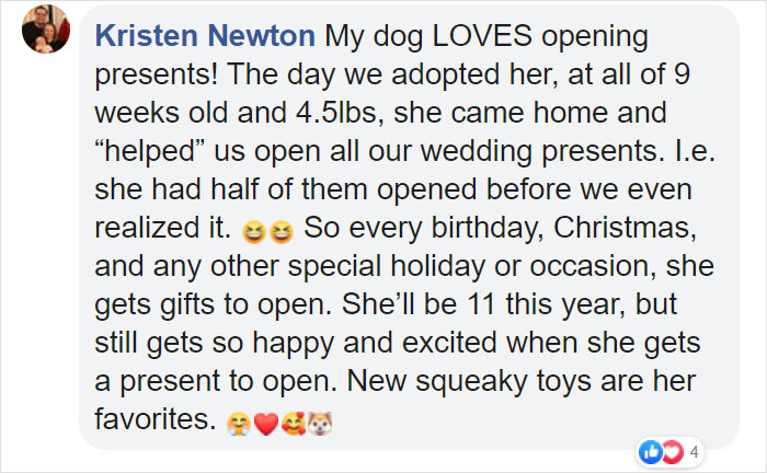 Family Throws A Surprise Birthday Party For Its 13 Y.O. Senior Dog And He Can't Believe They Remembered Family Throws A Surprise Birthday Party For Its 13 Y.O. Senior Dog And He Can't Believe They Remembered