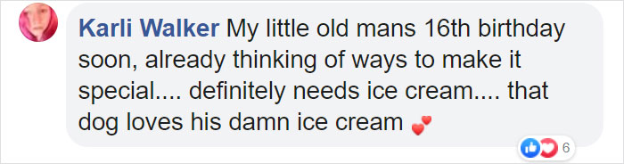 Family Throws A Surprise Birthday Party For Its 13 Y.O. Senior Dog And He Can't Believe They Remembered Family Throws A Surprise Birthday Party For Its 13 Y.O. Senior Dog And He Can't Believe They Remembered