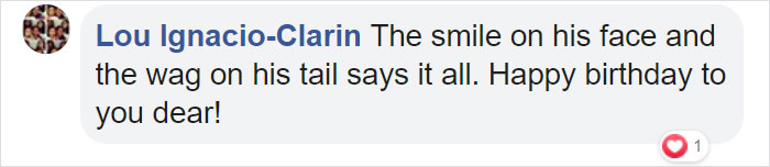 Family Throws A Surprise Birthday Party For Its 13 Y.O. Senior Dog And He Can't Believe They Remembered