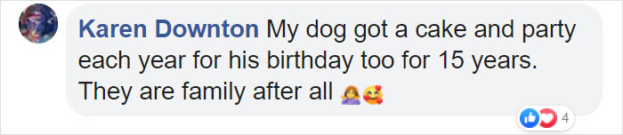 Family Throws A Surprise Birthday Party For Its 13 Y.O. Senior Dog And He Can't Believe They Remembered Family Throws A Surprise Birthday Party For Its 13 Y.O. Senior Dog And He Can't Believe They Remembered