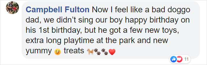 Family Throws A Surprise Birthday Party For Its 13 Y.O. Senior Dog And He Can't Believe They Remembered Family Throws A Surprise Birthday Party For Its 13 Y.O. Senior Dog And He Can't Believe They Remembered