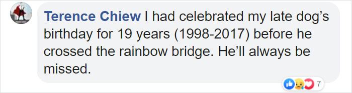 Family Throws A Surprise Birthday Party For Its 13 Y.O. Senior Dog And He Can't Believe They Remembered Family Throws A Surprise Birthday Party For Its 13 Y.O. Senior Dog And He Can't Believe They Remembered