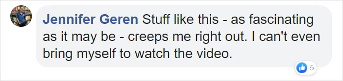 Here's How The Size Of Asteroids Compares To New York City