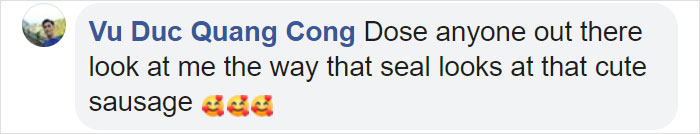 Sausage Doggy And Seal Puppy Met On Vacation, Became BFFs Immediately