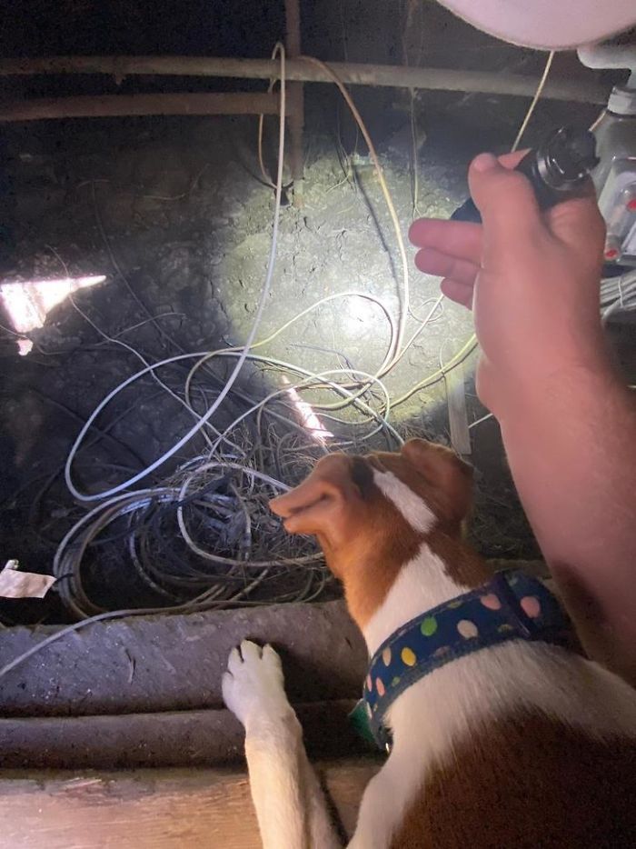 Strange-Structural-Inspections