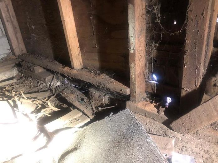 Strange-Structural-Inspections